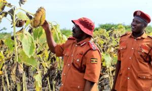 CGP COMMENDS UGANDA PRISONS SERVICE'S AGRICULTURAL INITIATIVE DURING WORKING TOUR.